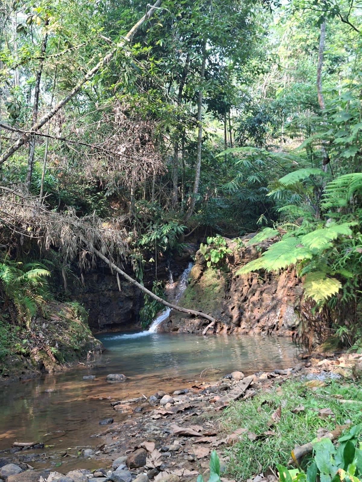 Kolam alami di kawasan Curug Cibanteri.