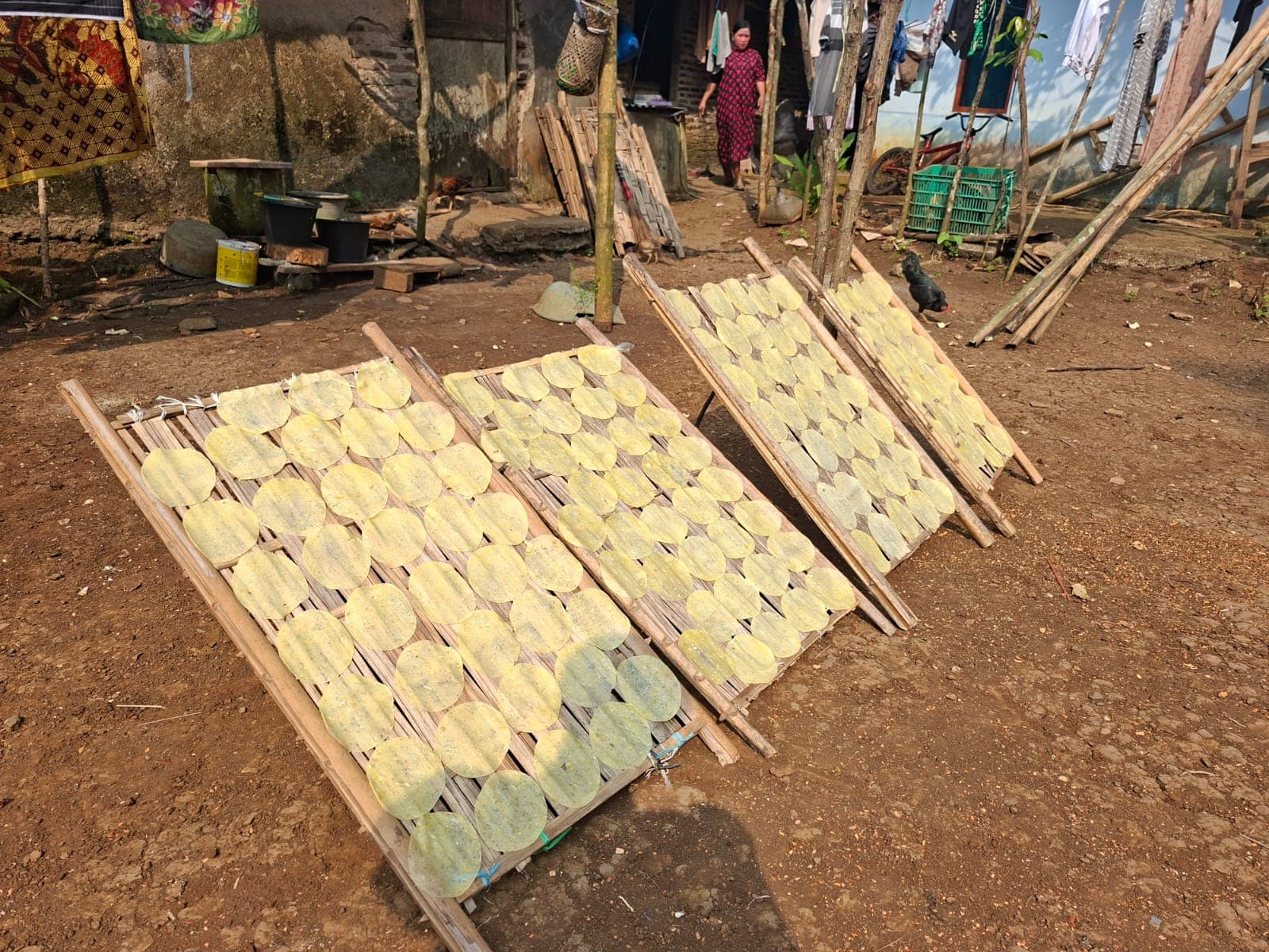 Opak dijemur di atas para-para bambu di halaman rumah warga Desa Tembong.